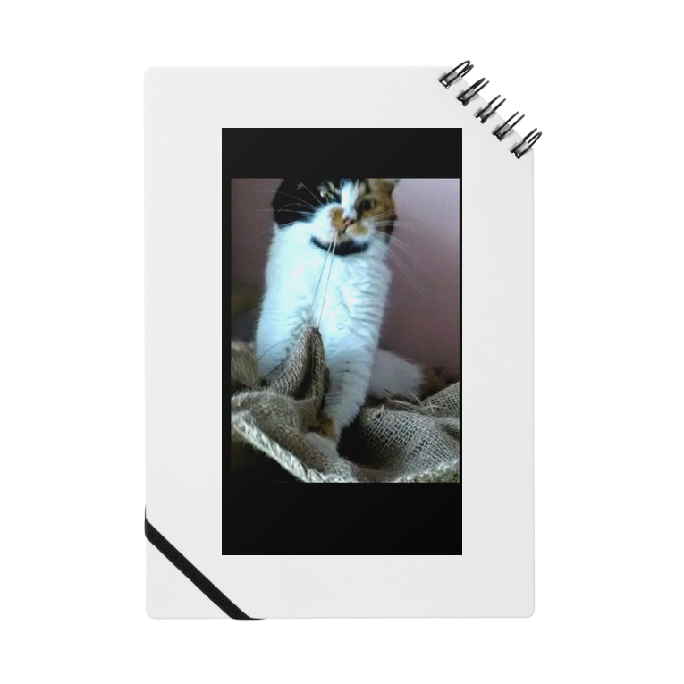 ふんぬ 負けるもんか 姫猫 しゃら Shiyaracangke のノート通販 Suzuri スズリ