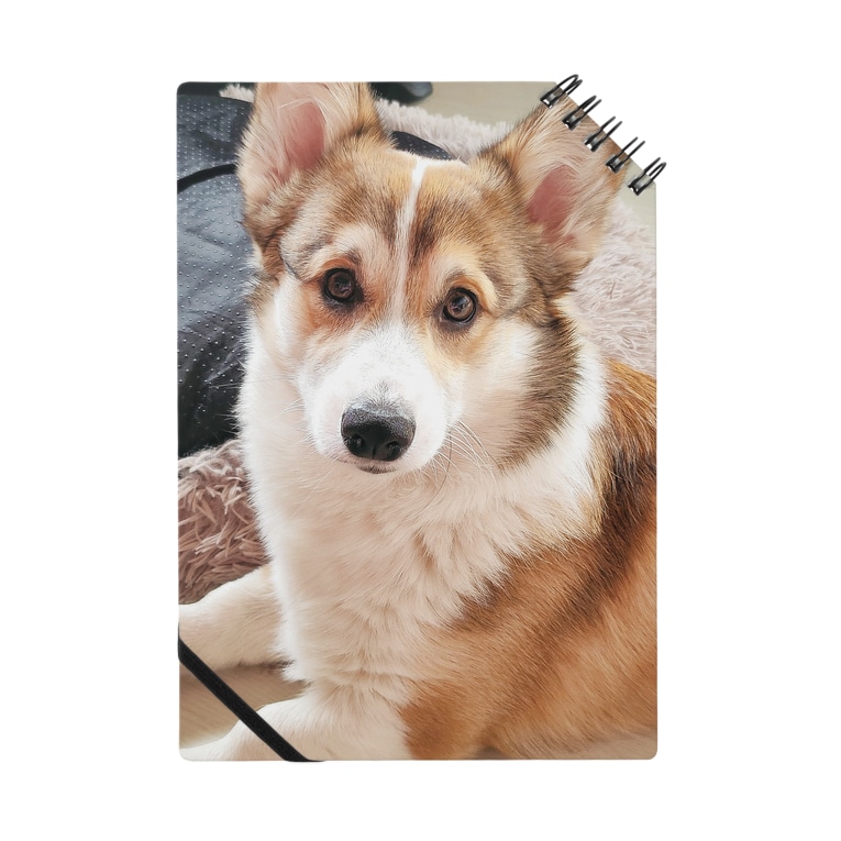 すましたコーギー犬ロック コーギーショップ Corgi Lock のノート通販 Suzuri スズリ すましたコーギー犬ロック コーギーショップ Corgi Lock のノート通販 Suzuri スズリ