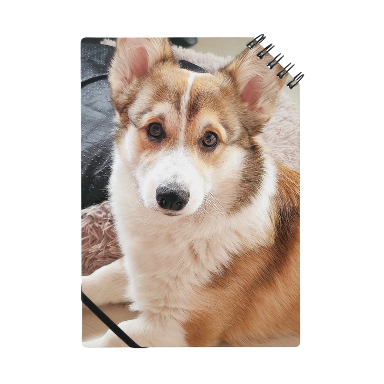 すましたコーギー犬ロック コーギーショップ Corgi Lock のノート通販 Suzuri スズリ