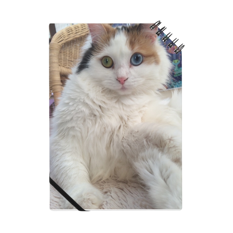 もふもふ猫 配達員だった 現 計画 Pokoemi のノート通販 Suzuri スズリ もふもふ猫 配達員だった 現 計画 Pokoemi のノート通販 Suzuri スズリ