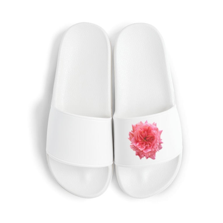 爛々と咲く濃いピンクの薔薇 コマタヒチ Comatahiti のサンダル通販 Suzuri スズリ 爛々と咲く濃いピンクの薔薇 コマタヒチ Comatahiti のサンダル通販 Suzuri スズリ