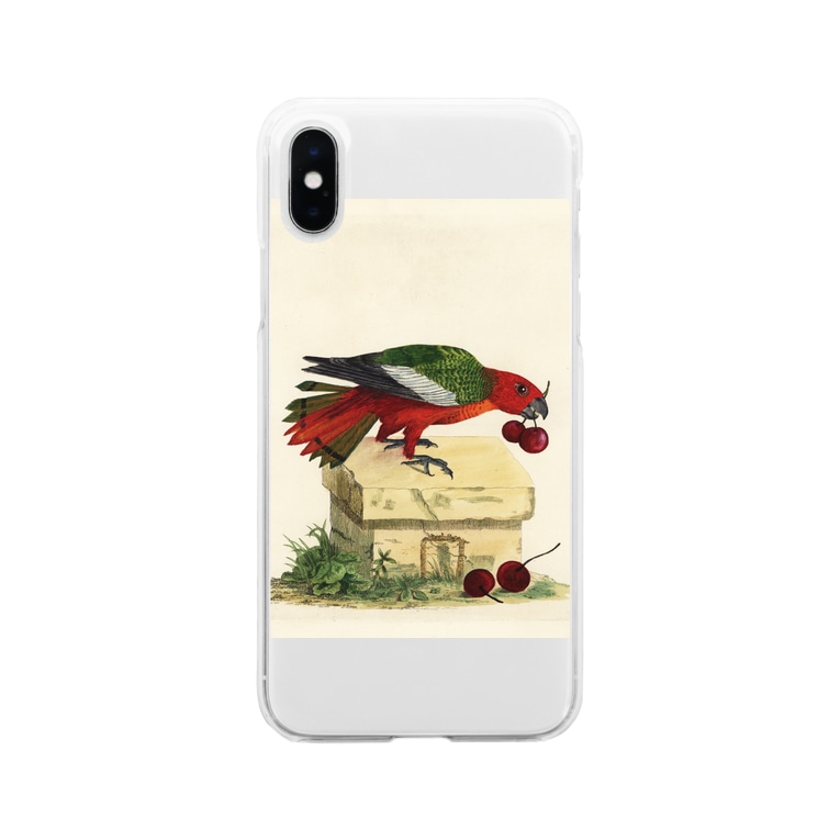 博物画の鳥 J Jeffery Print Gallery Jjeffery のソフトクリアスマホケース Iphoneケース 通販 Suzuri スズリ