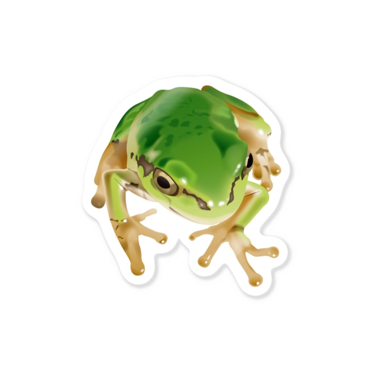 リアルアマガエル Sticker By Kimchin Suzuri リアルアマガエル Sticker By Kimchin Suzuri