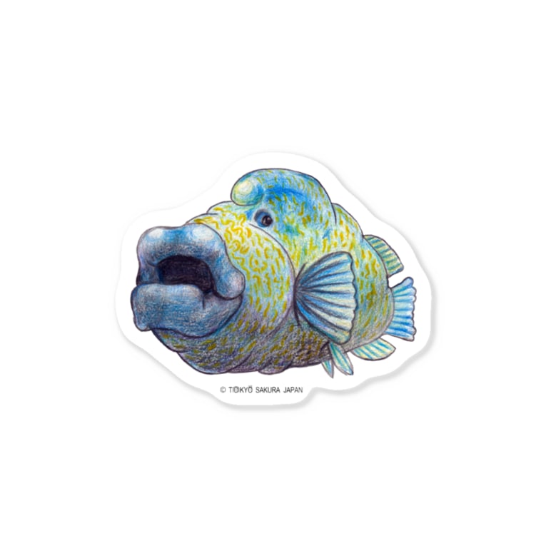 ナポレオンフィッシュ 東京さくらjapan Tokyosakurajapan のステッカー通販 Suzuri スズリ