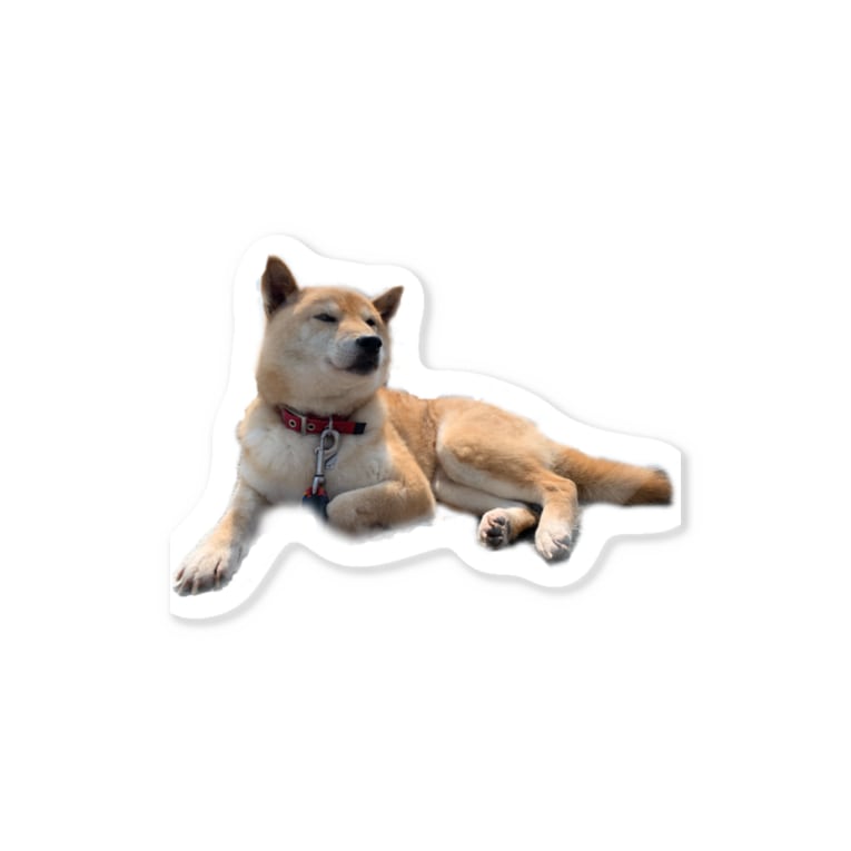 くつろぎ柴犬 柴犬と柴犬 Pyonkosu11 のステッカー通販 Suzuri スズリ くつろぎ柴犬 柴犬と柴犬 Pyonkosu11 のステッカー通販 Suzuri スズリ