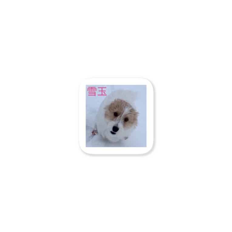 雪玉犬 Haruka Oyama Cjmg1104 のステッカー通販 Suzuri スズリ 雪玉犬 Haruka Oyama Cjmg1104 のステッカー通販 Suzuri スズリ