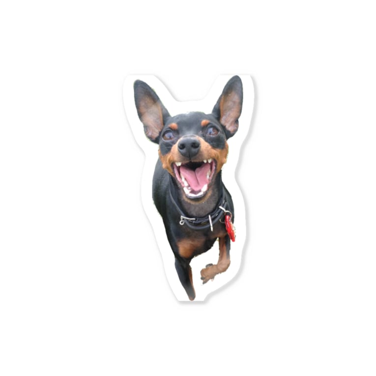 ミニピン Ritter Yu Dog Of The Dog のステッカー通販 Suzuri スズリ ミニピン Ritter Yu Dog Of The Dog のステッカー通販 Suzuri スズリ