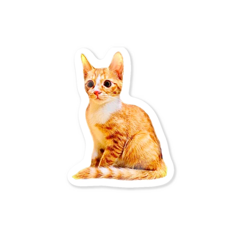 Kawaii Chatora Neko ねこだいすきばばあ Made In Trash のステッカー通販 Suzuri スズリ