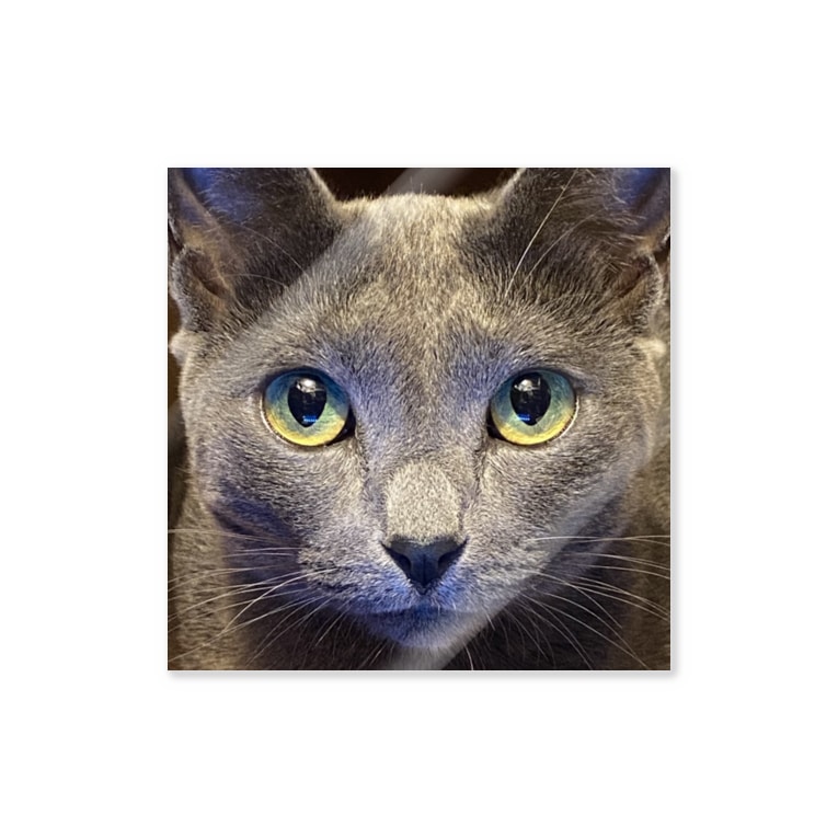 ねこにゃーさん 神沼三平太 恐怖箱 彼岸百物語 3peta のステッカー通販 Suzuri スズリ ねこにゃーさん 神沼三平太 恐怖箱 彼岸百物語 3peta のステッカー通販 Suzuri スズリ