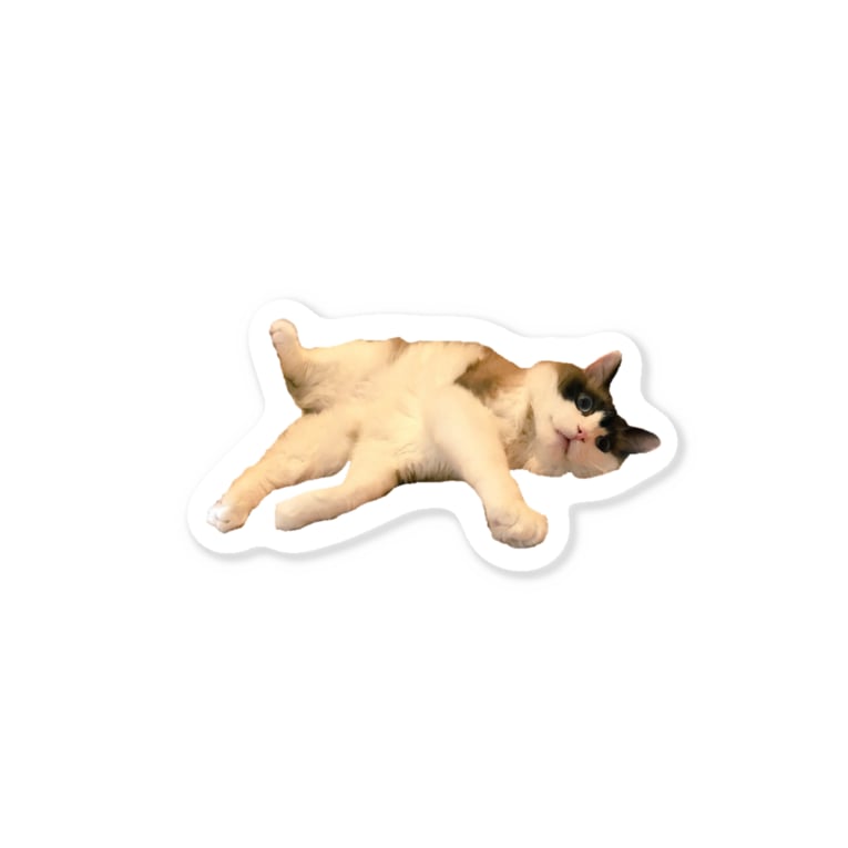 変なポーズの猫ひろしステッカー Stickers By Anan 猫ひろしの人 Anannekohiroshi Suzuri