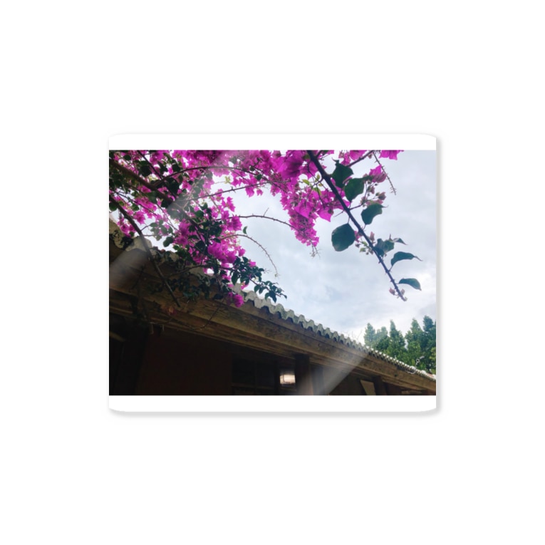 ブーゲンビリアの花が咲いた Natadecocoのステッカー通販 Suzuri スズリ