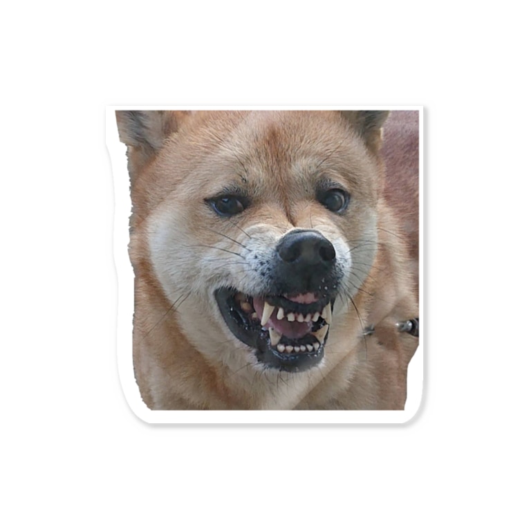実家の犬の変な顔 ˋˏ やまださちこ ˎˊ Ym7sc18 のステッカー通販 Suzuri スズリ