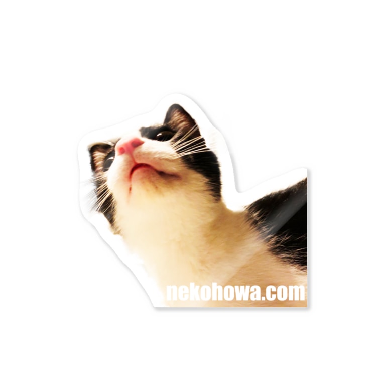ねこほわどっとこむ ドヤ顔 ねこほわしょっぷ Nekohowa のステッカー通販 Suzuri スズリ ねこほわどっとこむ ドヤ顔 ねこほわしょっぷ Nekohowa のステッカー通販 Suzuri スズリ