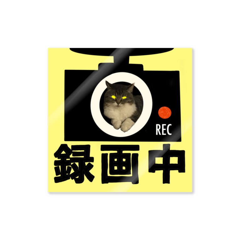 ドライブレコーダー 録画中 みゅうこま ペットのイラスト描きます Myuchankomachan のステッカー通販 Suzuri スズリ