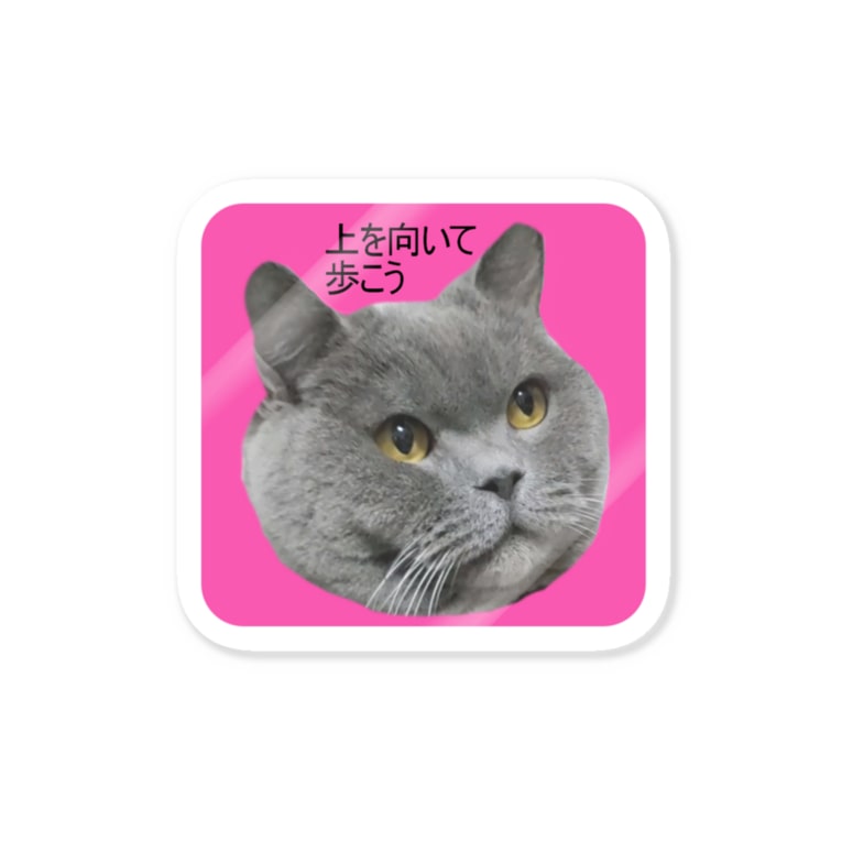 あっしゅさんステッカー 上を向いて歩こう あっしゅのお店 Mofuburi Ash のステッカー通販 Suzuri スズリ あっしゅさんステッカー 上を向いて歩こう あっしゅのお店 Mofuburi Ash のステッカー通販 Suzuri スズリ