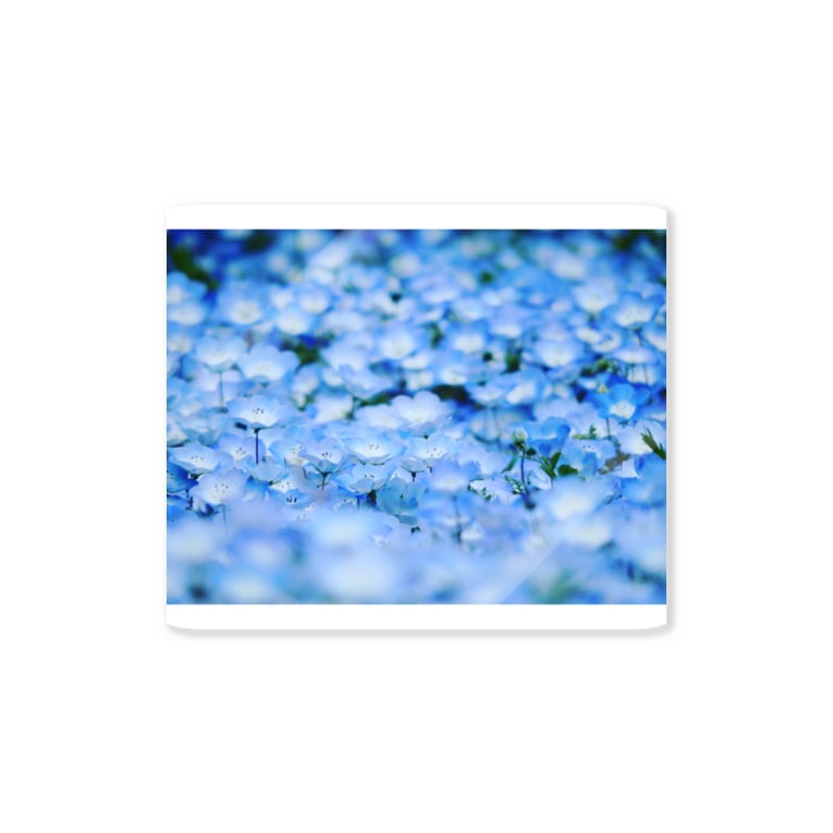 花束 ネモフィラ Ngorongoro Pixel Ngorongoro P のステッカー通販 Suzuri スズリ 花束 ネモフィラ Ngorongoro Pixel Ngorongoro P のステッカー通販 Suzuri スズリ