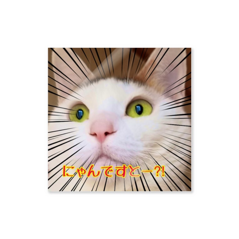 三毛猫うにさん にゃんですと 家系ねこ うに家本店 Sarimama のステッカー通販 Suzuri スズリ 三毛猫うにさん にゃんですと 家系ねこ うに家本店 Sarimama のステッカー通販 Suzuri スズリ
