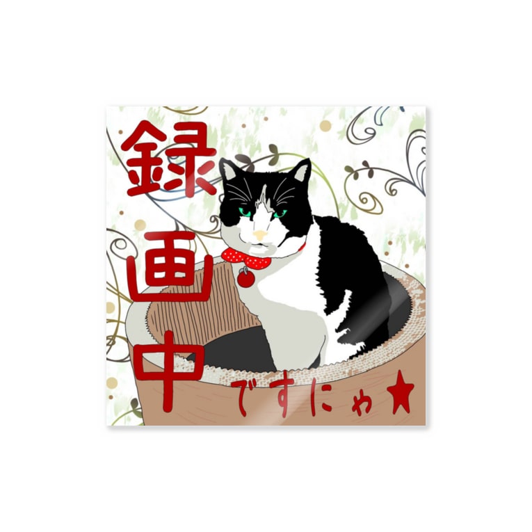 ハチワレ猫のみるくちゃん Miku Corporation Gallery星猫 Miku Raze のステッカー通販 Suzuri スズリ ハチワレ猫のみるくちゃん Miku Corporation Gallery星猫 Miku Raze のステッカー通販 Suzuri スズリ