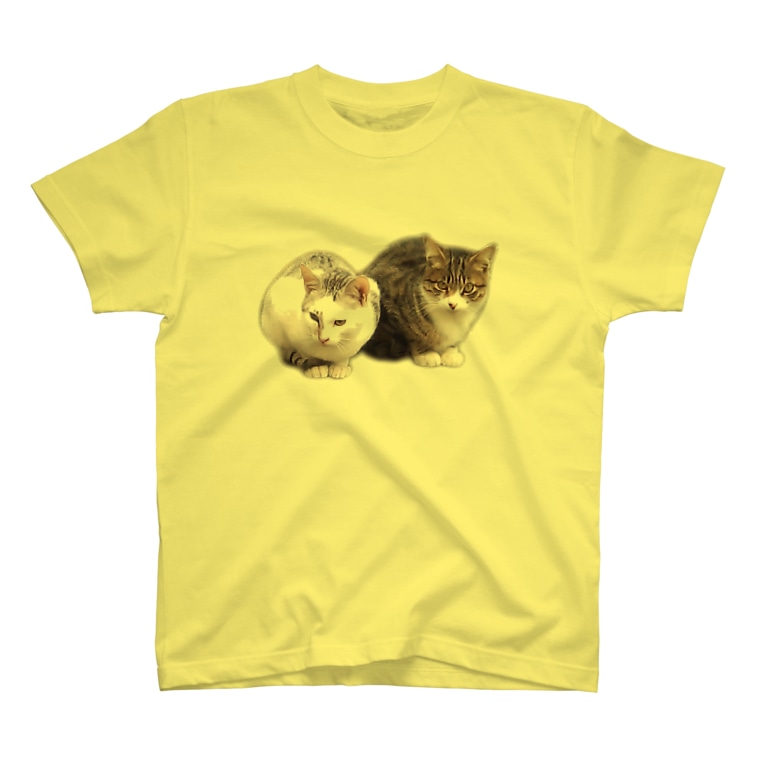 可愛い 猫ちゃん達 トロワ イラスト 写真館 Masatorowa のtシャツ通販 Suzuri スズリ 可愛い 猫ちゃん達 トロワ イラスト 写真館 Masatorowa のtシャツ通販 Suzuri スズリ