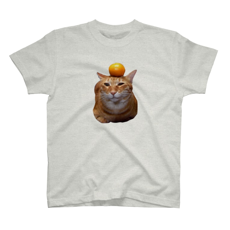 カッコイイ 家の男前にゃんこ トロワ イラスト 写真館 Masatorowa のtシャツ通販 Suzuri スズリ