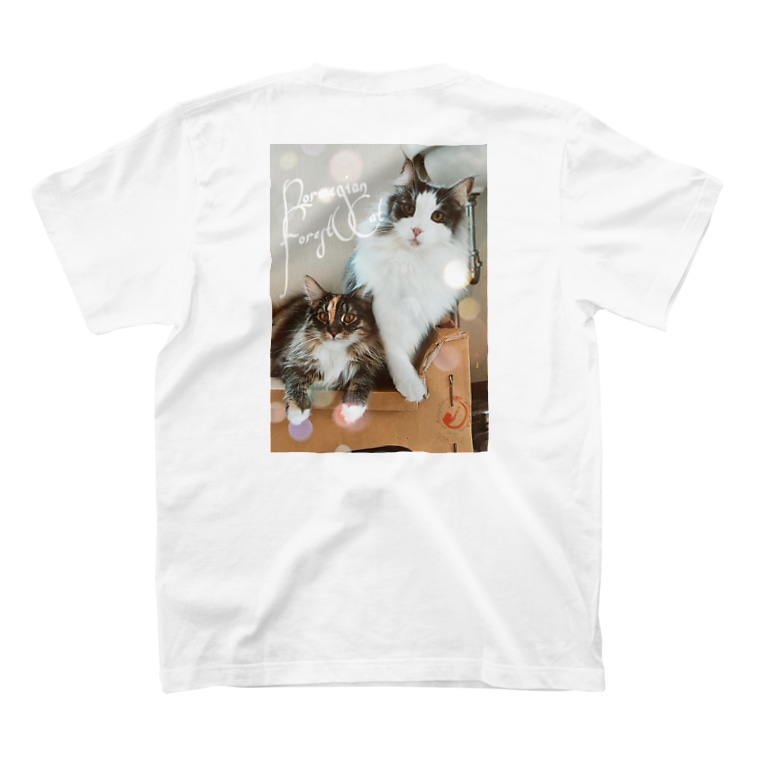 猫カフェラグドールノルウェージャンフォレストキャット 猫カフェラグドール Catcaferagdoll1 のtシャツ通販 Suzuri スズリ