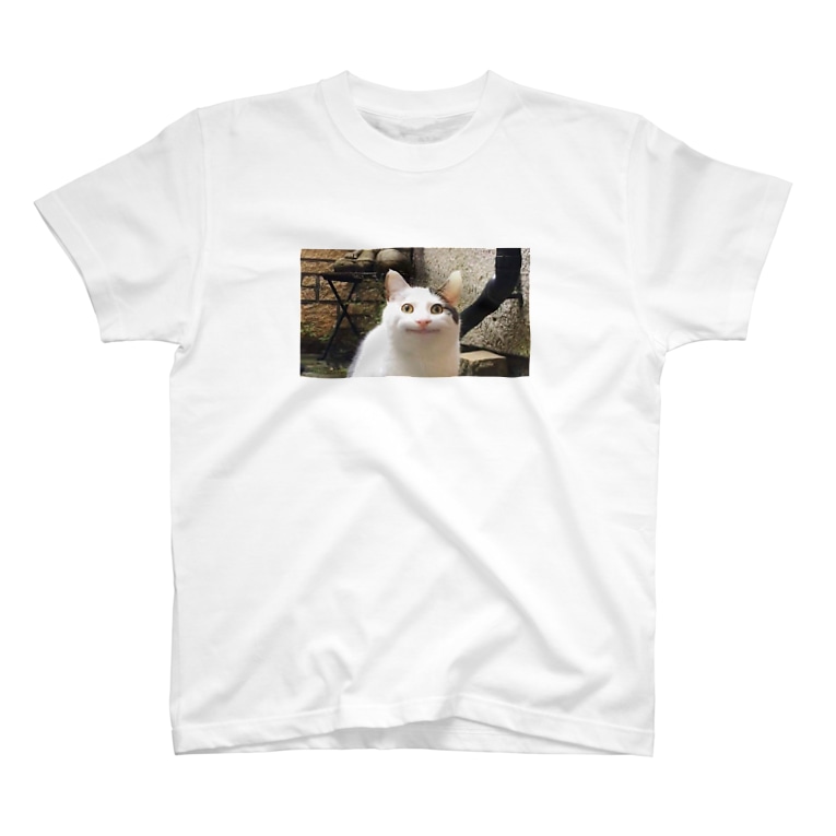 例の猫 Natsu Natsuwwwww のtシャツ通販 Suzuri スズリ