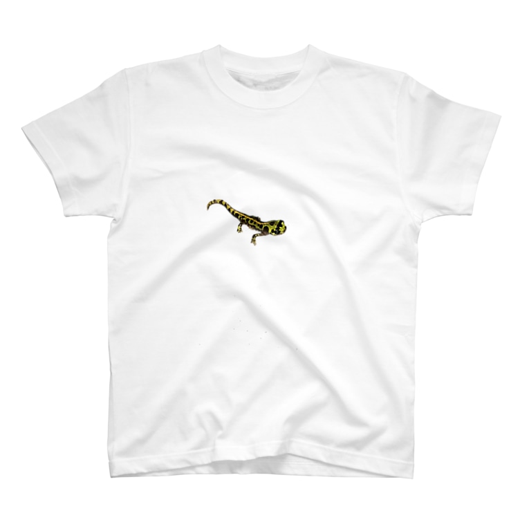 マダライモリ Ryusei Sのtシャツ通販 Suzuri スズリ マダライモリ Ryusei Sのtシャツ通販 Suzuri スズリ