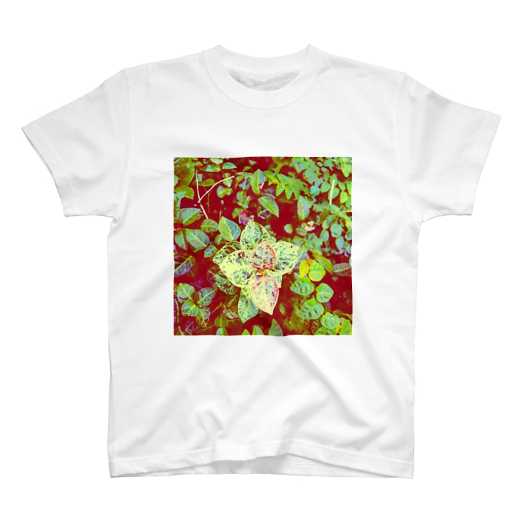 秋色 葉っぱさん Flower Kumohanasuki のtシャツ通販 Suzuri スズリ 秋色 葉っぱさん Flower Kumohanasuki のtシャツ通販 Suzuri スズリ