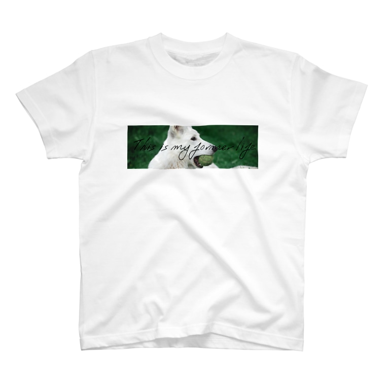 前世が犬の人専用 アロカ エルガ Alochan Bazooka のtシャツ通販 Suzuri スズリ 前世が犬の人専用 アロカ エルガ Alochan Bazooka のtシャツ通販 Suzuri スズリ