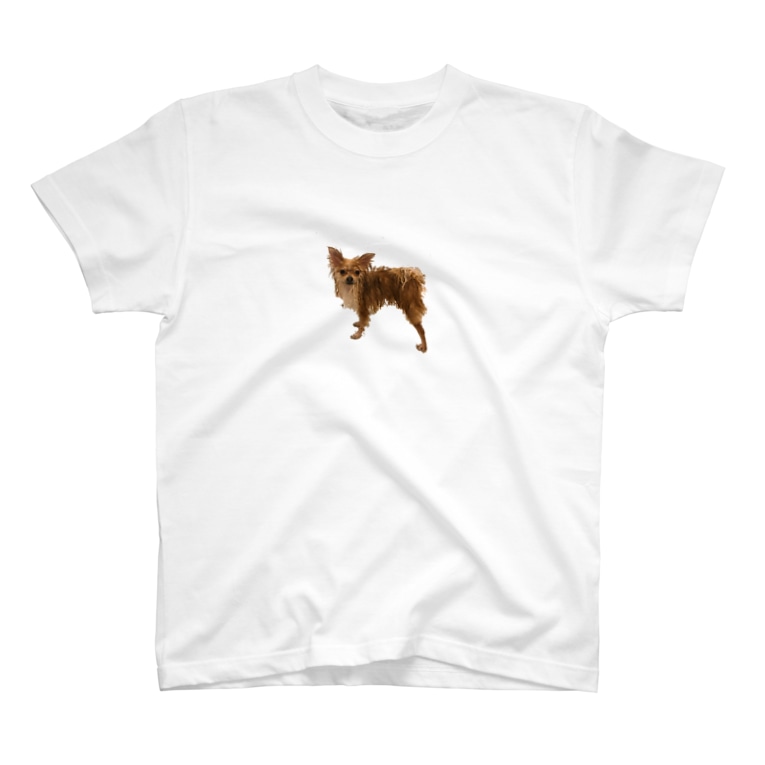 濡れたポメラニアン Tシャツ しゅみのみせです Watahana のtシャツ通販 Suzuri スズリ 濡れたポメラニアン Tシャツ しゅみのみせです Watahana のtシャツ通販 Suzuri スズリ