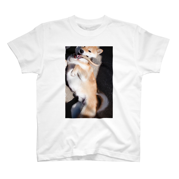 くしをくわえる犬 Inubot Inubot Mizue のtシャツ通販 Suzuri スズリ くしをくわえる犬 Inubot Inubot Mizue のtシャツ通販 Suzuri スズリ