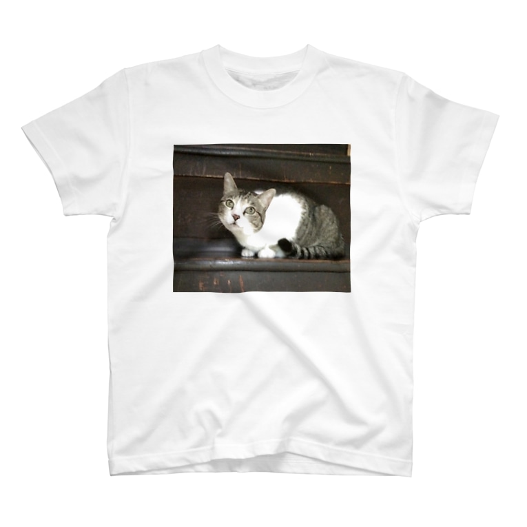 階段で首を傾げるばあちゃんの家の猫 いまい Nyn Nyn のtシャツ通販 Suzuri スズリ 階段で首を傾げるばあちゃんの家の猫 いまい Nyn Nyn のtシャツ通販 Suzuri スズリ