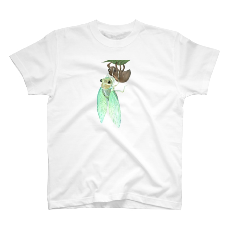 セミの羽化 もよよのイラストショップ Moyo Yo のtシャツ通販 Suzuri スズリ セミの羽化 もよよのイラストショップ Moyo Yo のtシャツ通販 Suzuri スズリ