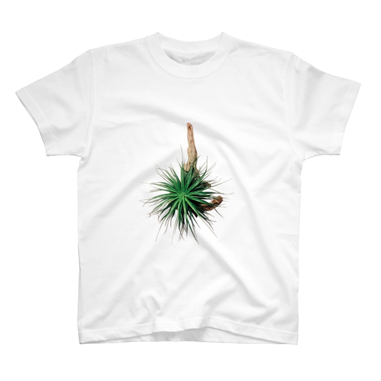流木着生チランジア ブロメリアイテム Bromeli Item のtシャツ通販 Suzuri スズリ 流木着生チランジア ブロメリアイテム Bromeli Item のtシャツ通販 Suzuri スズリ