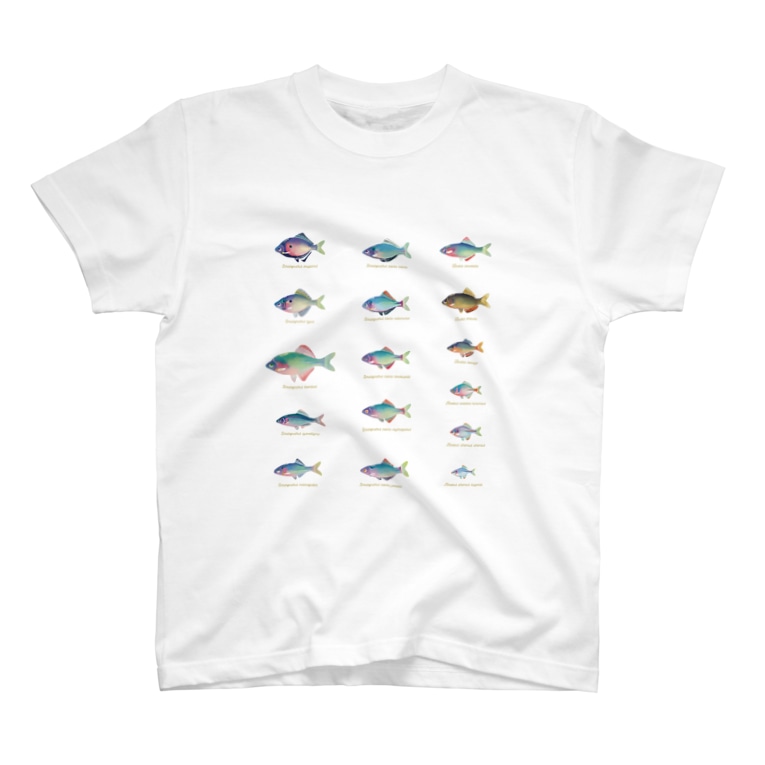 タナゴ いけすグッズ部suzuri課 Ikes のtシャツ通販 Suzuri スズリ タナゴ いけすグッズ部suzuri課 Ikes のtシャツ通販 Suzuri スズリ