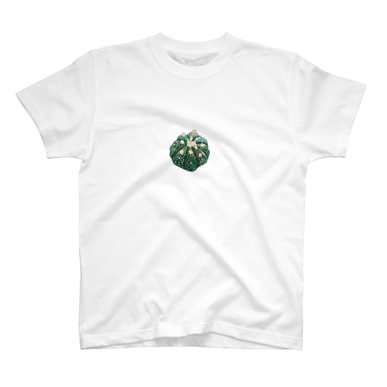 兜丸のイラスト 旅人の木 蒼也 Usg15 のtシャツ通販 Suzuri スズリ 兜丸のイラスト 旅人の木 蒼也 Usg15 のtシャツ通販 Suzuri スズリ