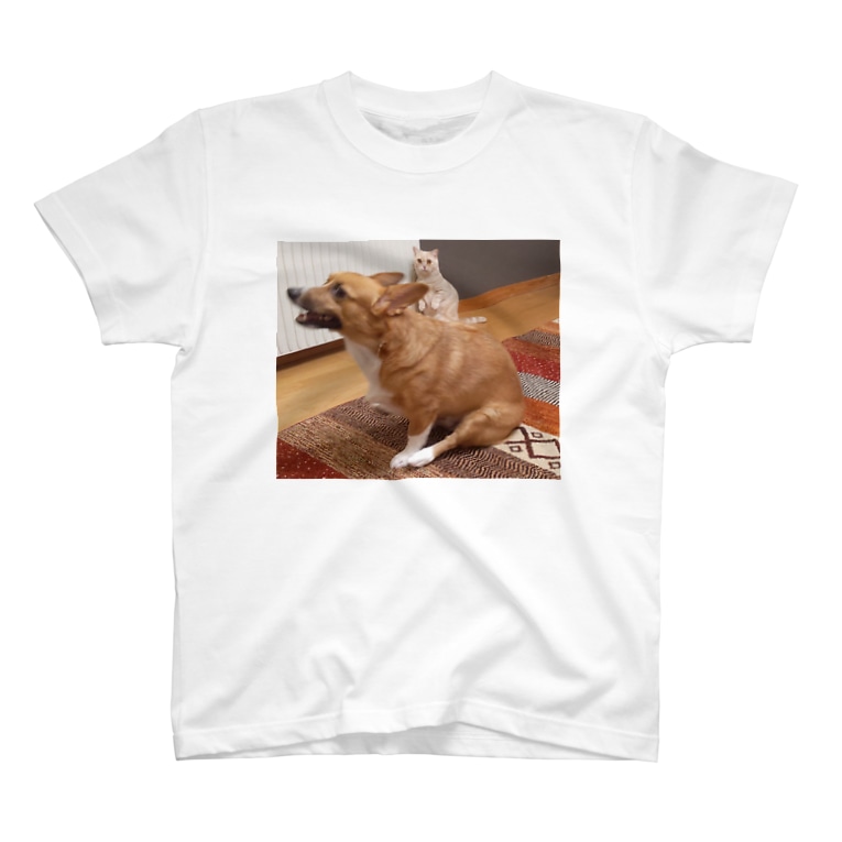 おしり歩きをする犬にビックリする猫 ちい むう ととろ Chi Mu Totoro An I Moto のtシャツ通販 Suzuri スズリ おしり歩きをする犬にビックリする猫 ちい むう ととろ Chi Mu Totoro An I Moto のtシャツ通販 Suzuri スズリ