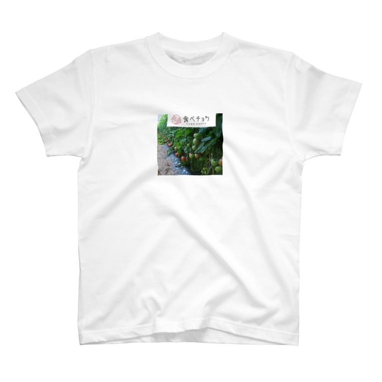 コラボ 渋谷ファーム公式グッズ Hdo43 のtシャツ通販 Suzuri スズリ コラボ 渋谷ファーム公式グッズ Hdo43 のtシャツ通販 Suzuri スズリ