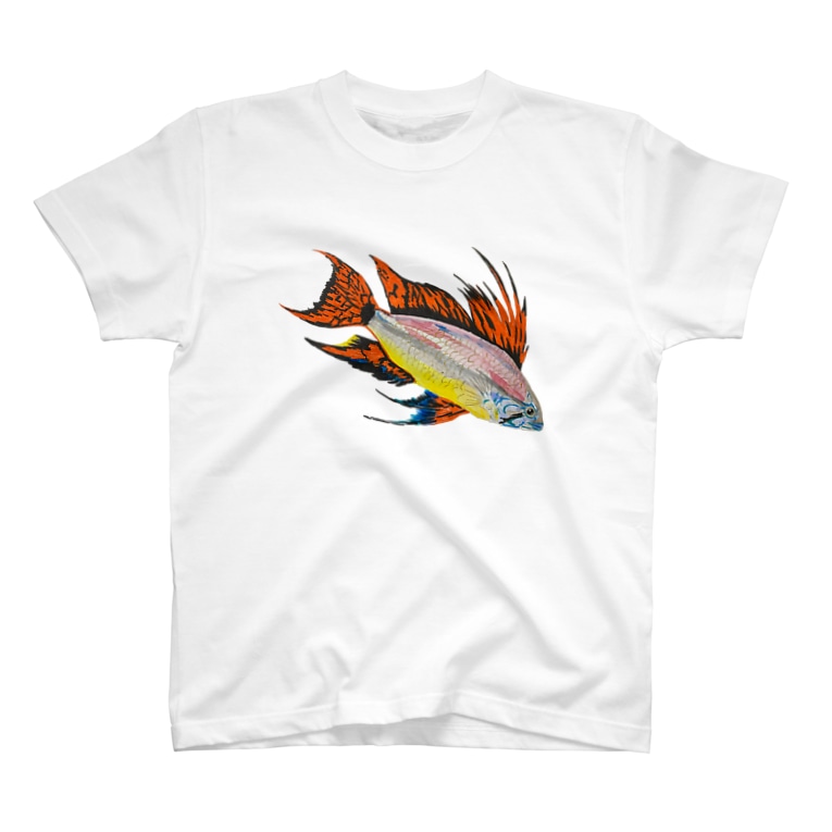 アピストグラマ カカトゥオイデス Coshi Mild Wild Koshi Clapton のtシャツ通販 Suzuri スズリ アピストグラマ カカトゥオイデス Coshi Mild Wild Koshi Clapton のtシャツ通販 Suzuri スズリ