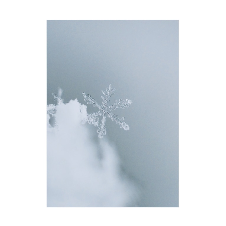 雪の結晶 モモたろ Marumaruaya の吸着ポスター通販 Suzuri スズリ 雪の結晶 モモたろ Marumaruaya の吸着ポスター通販 Suzuri スズリ