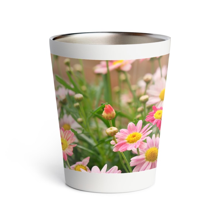 可愛いマーガレット Thermo Tumbler By お気に入り写真で作るグッズ Tuntun Piton Suzuri 可愛いマーガレット Thermo Tumbler By お気に入り写真で作るグッズ Tuntun Piton Suzuri