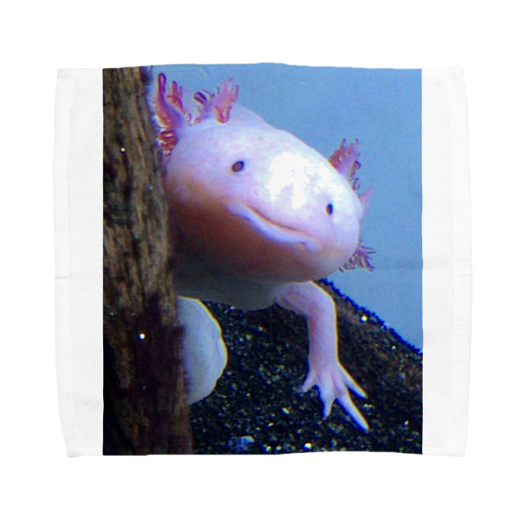 ウーパールーパー Hiyuiのタオルハンカチ通販 Suzuri スズリ ウーパールーパー Hiyuiのタオルハンカチ通販 Suzuri スズリ