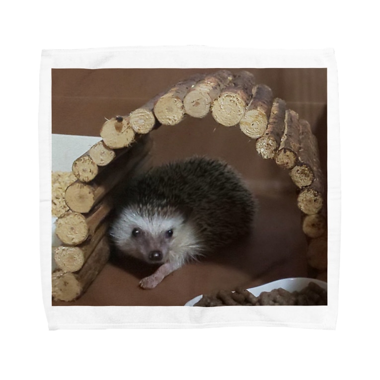 はりねずみ Boo Chanのタオルハンカチ通販 Suzuri スズリ はりねずみ Boo Chanのタオルハンカチ通販 Suzuri スズリ