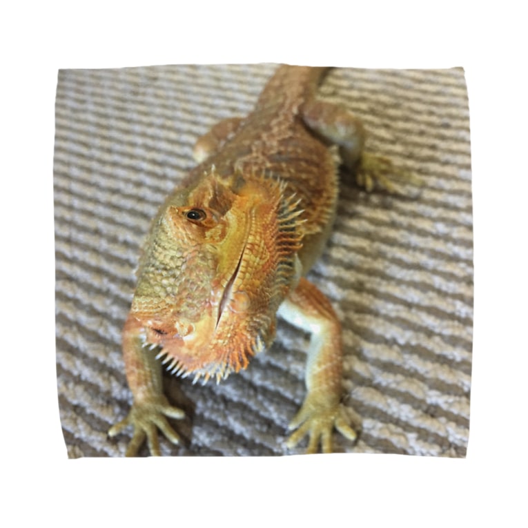 フトアゴヒゲトカゲのココアさん 爬虫類好きのためのショップ 0128azisai のタオルハンカチ通販 Suzuri スズリ フトアゴヒゲトカゲのココアさん 爬虫類好きのためのショップ 0128azisai のタオルハンカチ通販 Suzuri スズリ