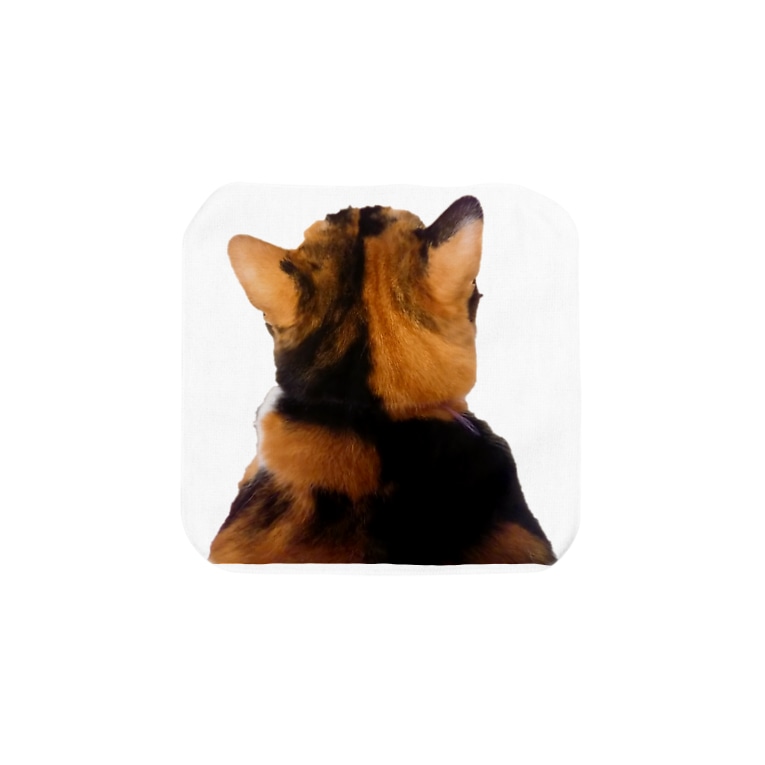 三毛猫後ろ姿 茶色三毛猫ルーム Ryu An のタオルハンカチ通販 Suzuri スズリ 三毛猫後ろ姿 茶色三毛猫ルーム Ryu An のタオルハンカチ通販 Suzuri スズリ