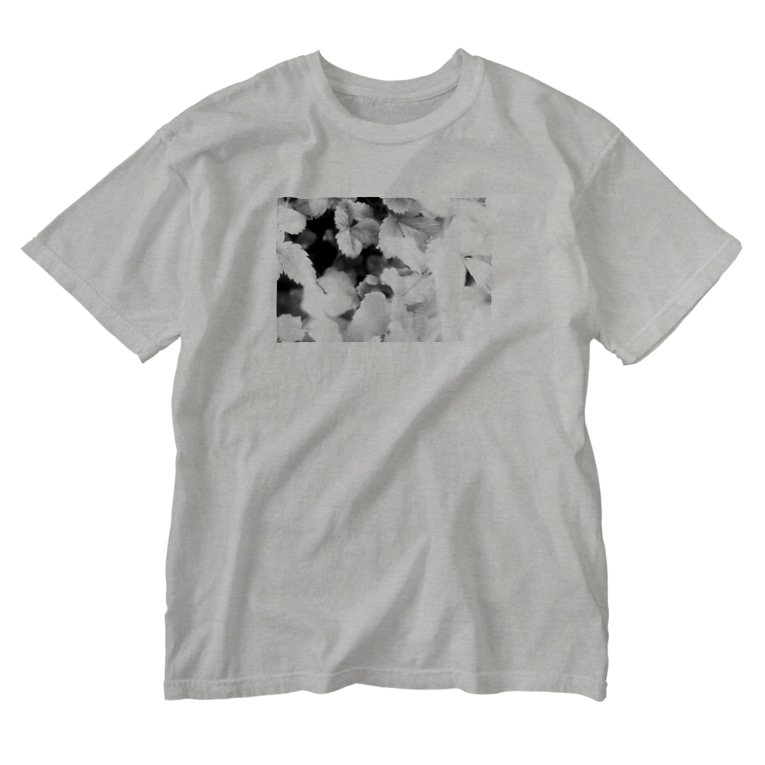 モノクロフラワー 野いちご Washed T Shirts By Akane Art 茜音工房 Akane Art Suzuri モノクロフラワー 野いちご Washed T Shirts By Akane Art 茜音工房 Akane Art Suzuri