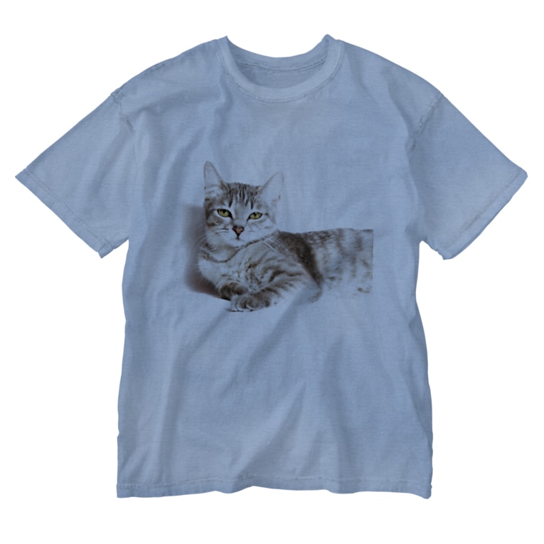 眠い猫 Teatime ティータイム Teatime のウォッシュtシャツ通販 Suzuri スズリ 眠い猫 Teatime ティータイム Teatime のウォッシュtシャツ通販 Suzuri スズリ