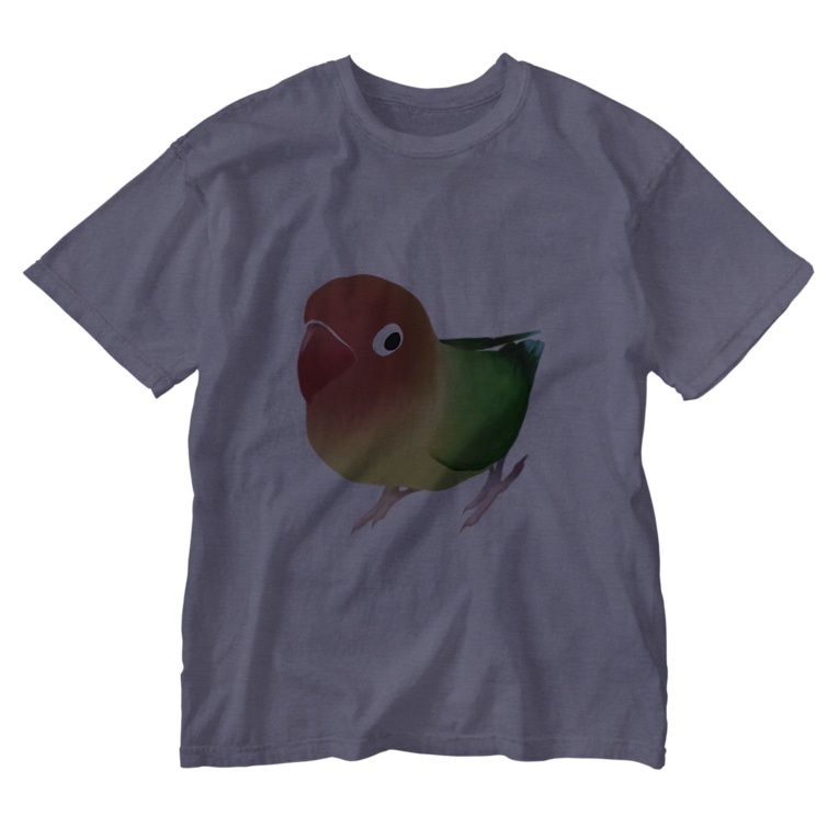 ボタンインコ おすましルリゴシボタンインコ まめるりはことり まめるりはことり Mamelurihakotori のウォッシュtシャツ通販 Suzuri スズリ