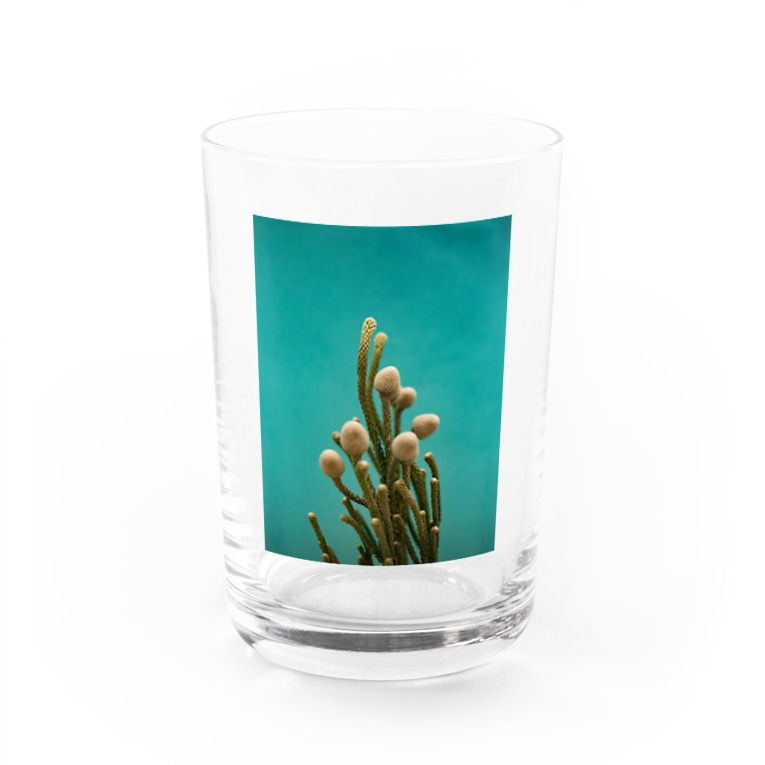 腐海に生えている植物 Illairheadのグラス通販 Suzuri スズリ