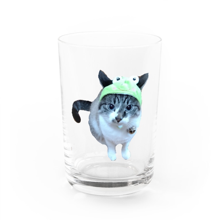 にゃんころりん Water Glass By Okopee Suzuri